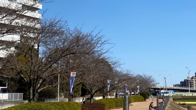 思い残すことなく