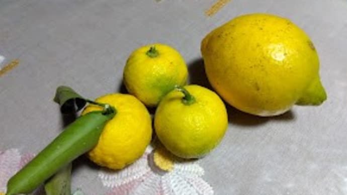 レモンとゆず。