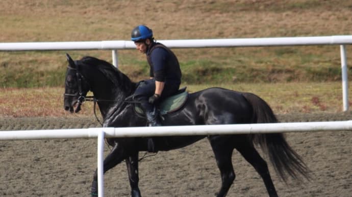 エルフストラック、次走若駒ステークスへ再照準!