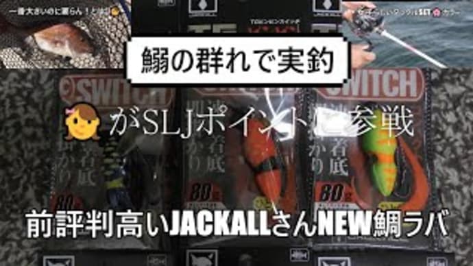 JACKALLビンビンSWITCHをベイトの群れに投入🎣2種の鯛ラバでSLJポイントを攻めてみた👧