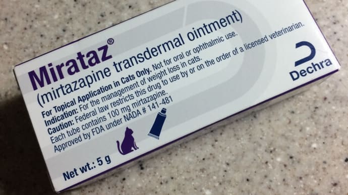 蛋白漏出性腸症⑥