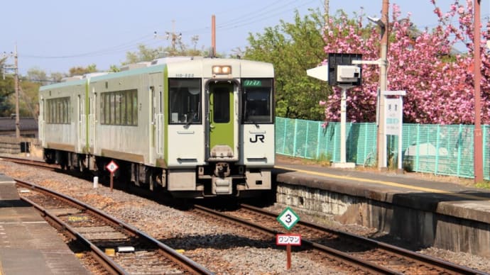 桜咲くローカル駅