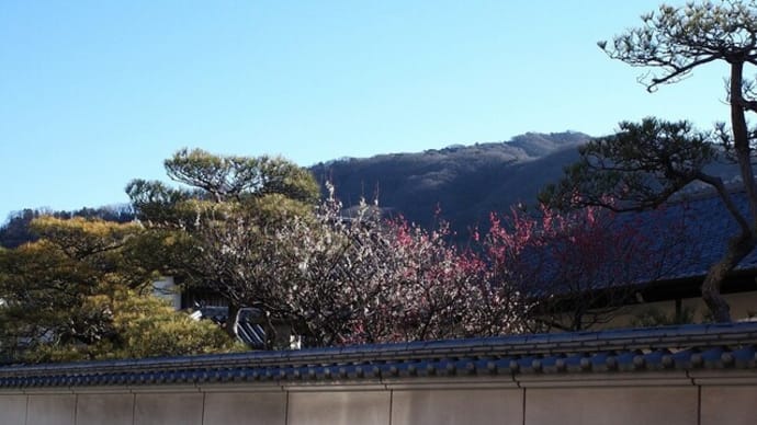 島の風景とランチは焼き肉敏