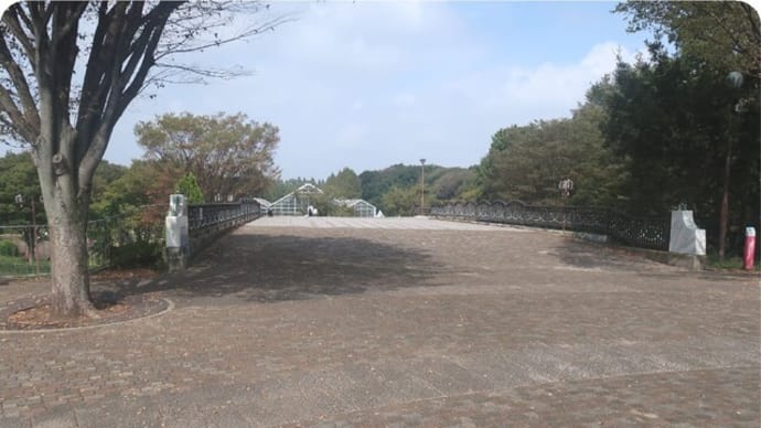 相模原麻溝公園~相模原公園(相模原公園編)