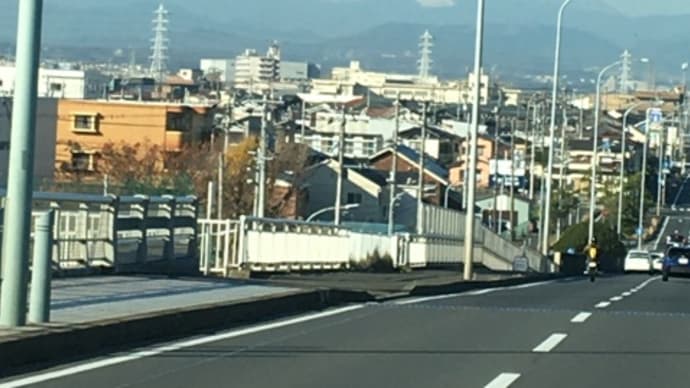穏やかな土曜日