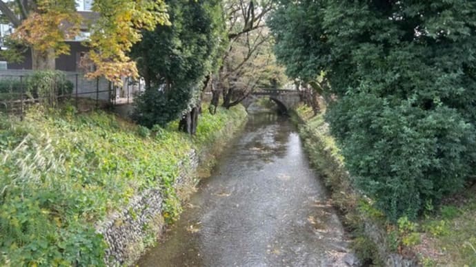 久しぶりの東京へ(1)玉川上水