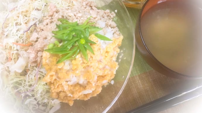 三色丼、食べてがんばるっ❗️