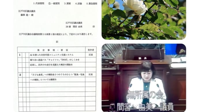 本会議質問前文*地域住民とともに人間性豊かな地域づくりに、 江戸川区は確かに向かって行っている