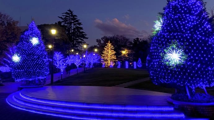 大好きな横浜でちょっと早いクリスマスを満喫。(その2)
