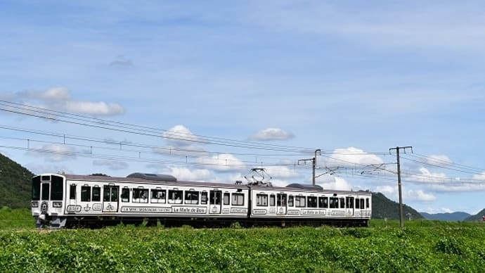 ラ・マル・ド・ボァ 観光列車