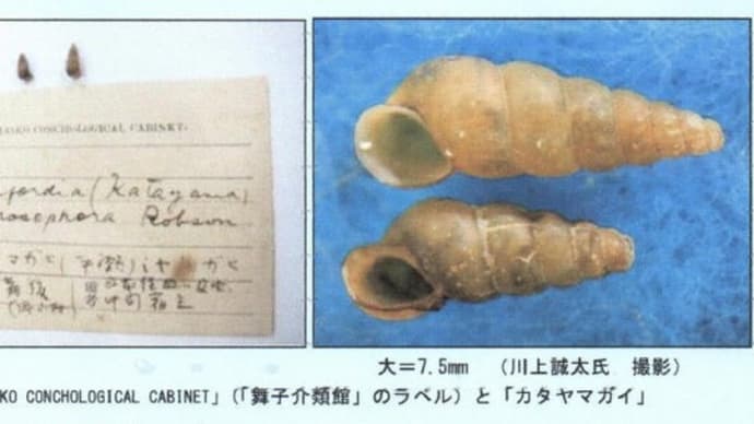 かって舞子介類館があった in 神戸市垂水区 明治41年(1908)から昭和5年(1930)に開設