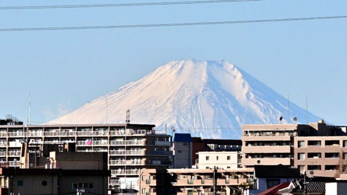 01月05日 よく晴れて散歩。夜は白菜鍋。