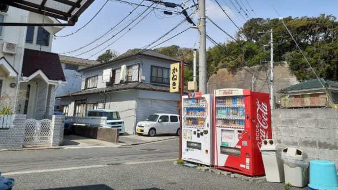 佐島 かねき