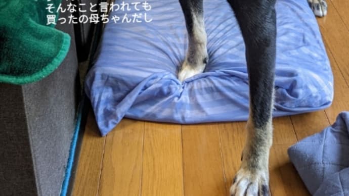 Tシャツをカスタマイズしてみました