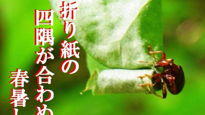 『春暑し』 俳句ポスト365:5月の俳句結果②