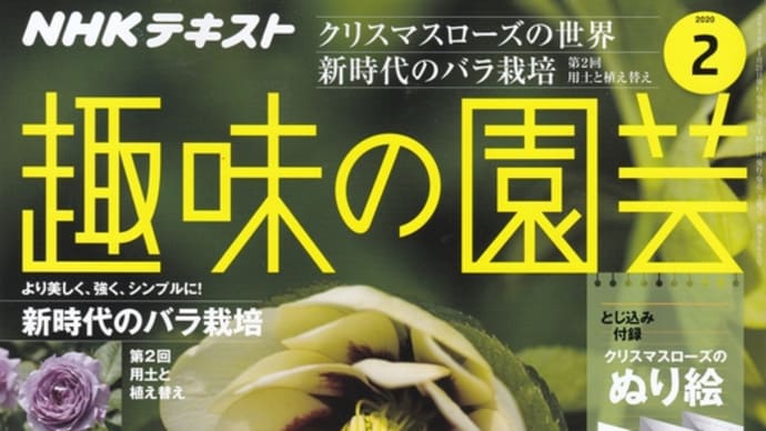 『NHK趣味の園芸』2020年2月号を読む！　2020年1月22日（水）