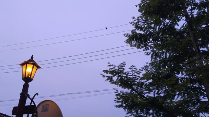 まだ暗い朝の空