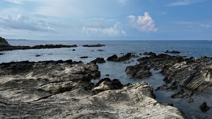 荒崎海岸