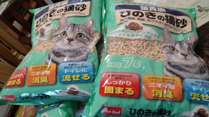 異次元の少子化対策?・・この日本語って何???