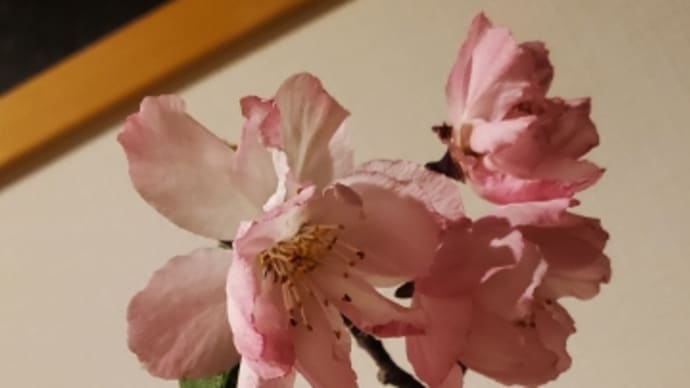 足裏のツボ