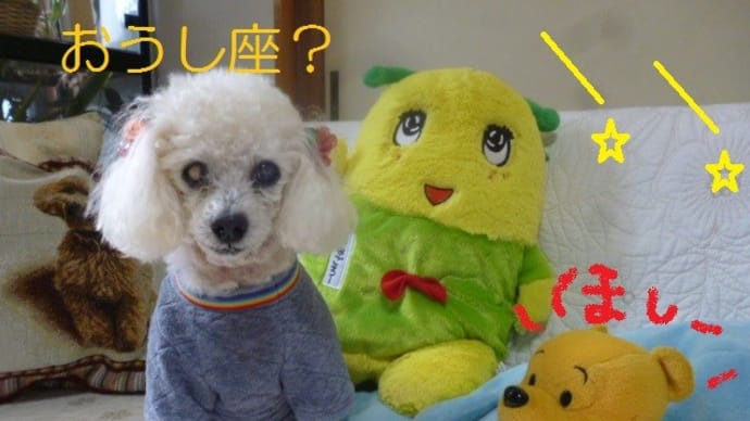 北は寒気に…そしておうし座南・おうし座北流星群 .✫*゚・゚。.☆.*。・゚✫*.