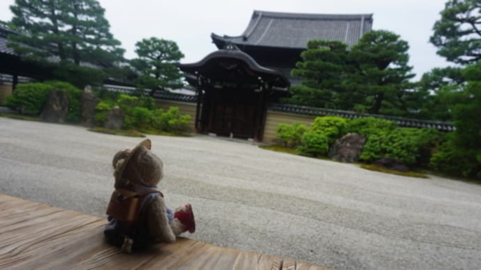 京都「建仁寺」での「暁天坐禅会・緑陰講座」へ。早朝の澄んだ空気に、心も頭もすっきり