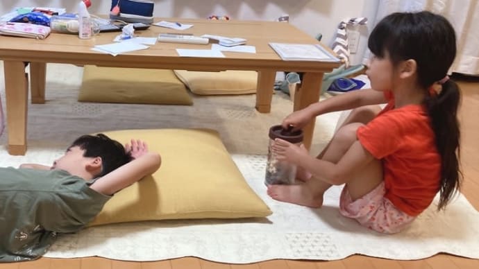 普通の一日(笑)