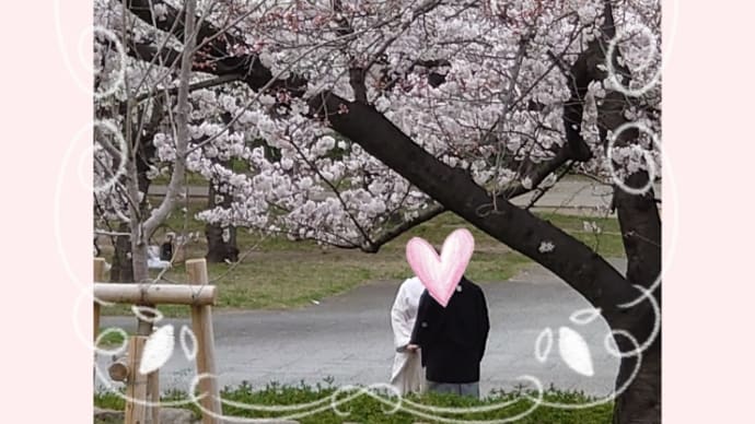 大阪城公園でお花見
