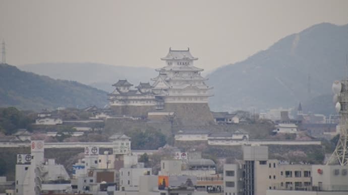 今日の姫路城 (2015.4.9)