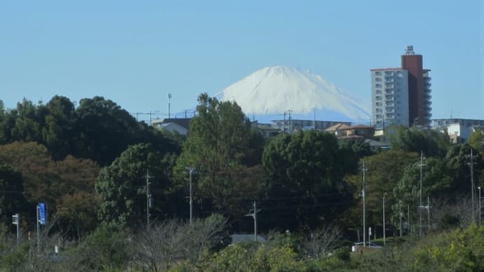 ぶらりJog~引地川親水公園・ふるさとの森