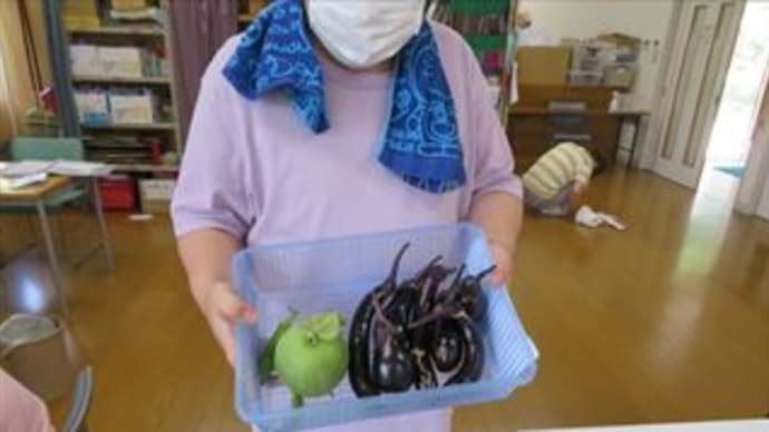 夏野菜‼