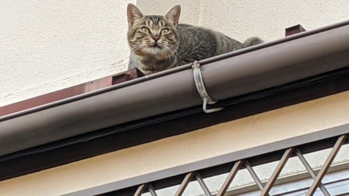 情報は自分から取りに行け👍