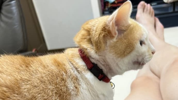 最終日