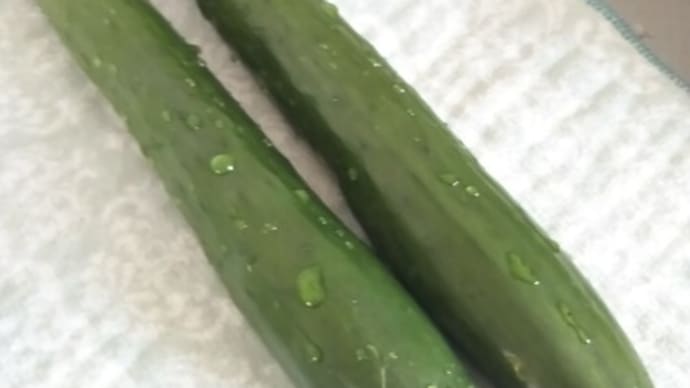この夏、ささやかな幸せを感じたこと