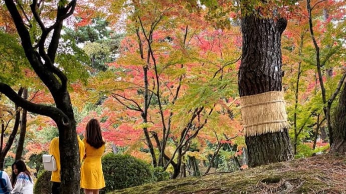 広島縮景園 都会の中の「和」の風景に癒やされる
