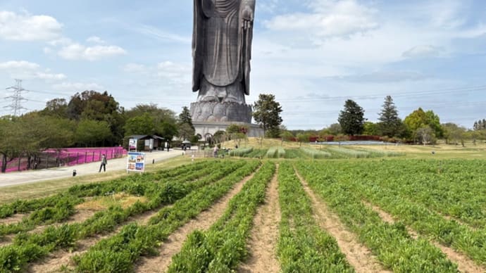 牛久大仏を見てきました
