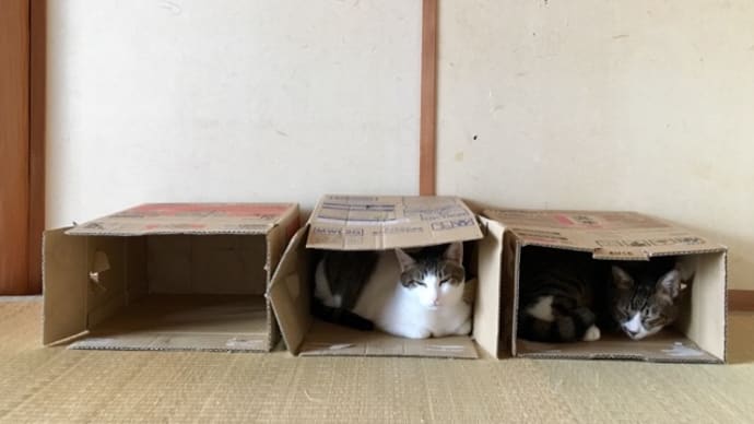 続・三軒長屋