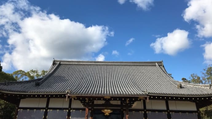 day17 旅の整理とCOVID19情報の整理