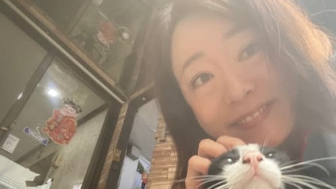 あさねこ。