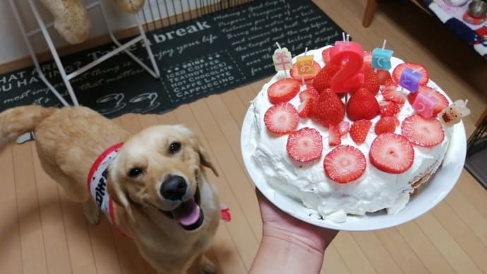 5月25日(木) ぽっちゃん♡2歳のお誕生日🎂✨