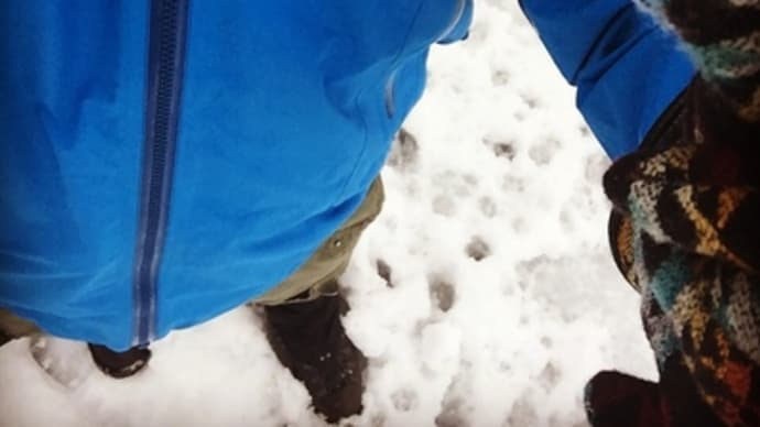 雪だって雨だってヘッチャラ!