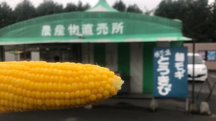 2019-9-16大分発・北海道一周 自走車中泊 夫婦旅(ばんえい十勝)19日目