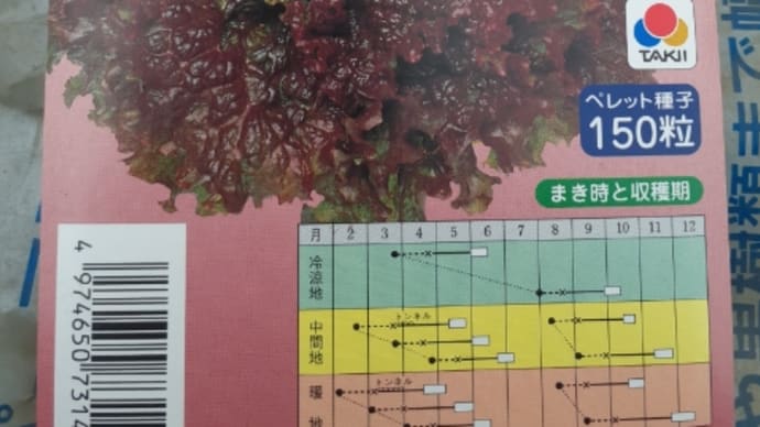 雪、種蒔き