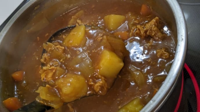 玉ねぎ無しのハンバーグと続カレーの日
