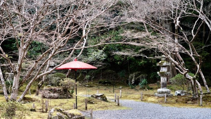 梅の花咲く境内-滋賀県大津市:石山寺
