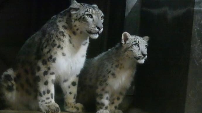 20230927 いしかわ動物園