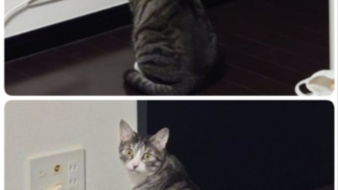 疲れが取れない…