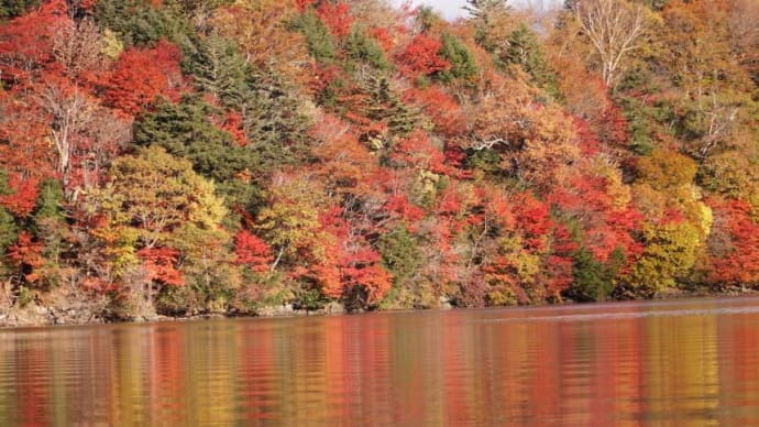 奥日光 中禅寺湖南岸の紅葉