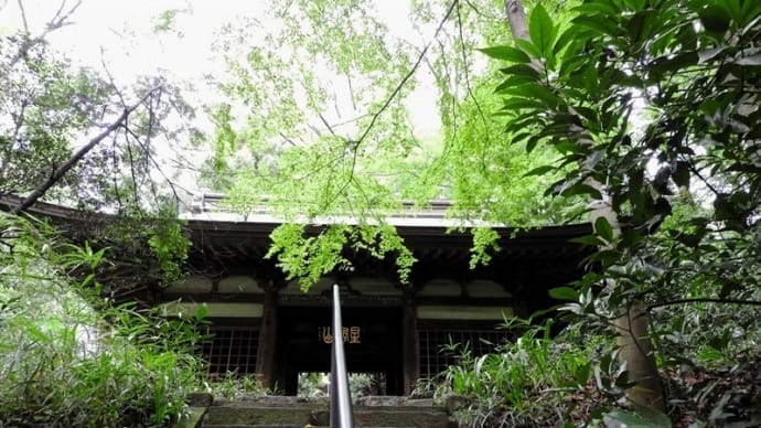 「関東の高野山」と称されている「星宿山王禅寺」