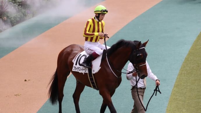 がんばれ!初勝利27